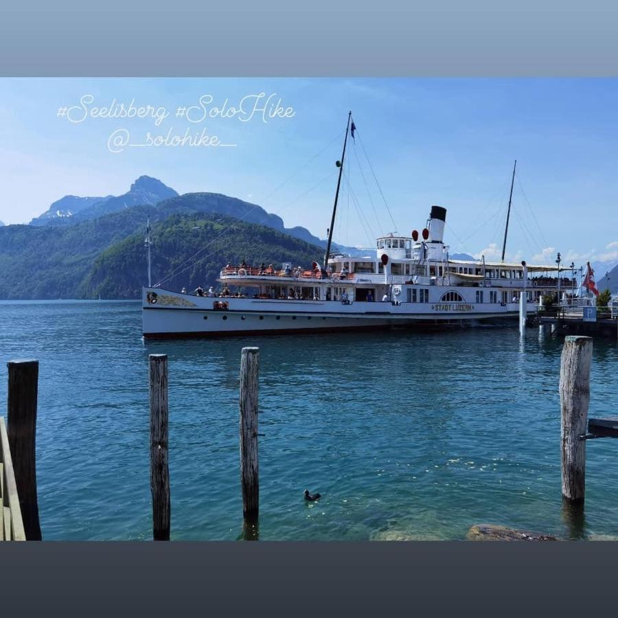 Schoene Ferienwohnung In Traumlage Fewo Solohike Seelisberg Exterior foto