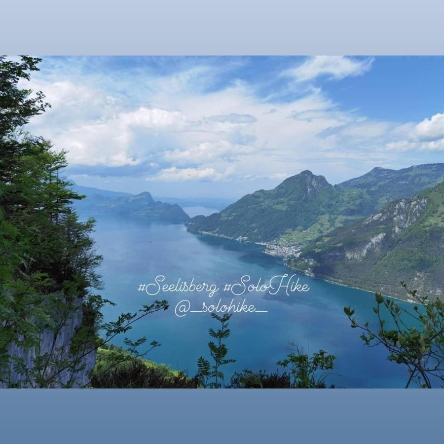 Schoene Ferienwohnung In Traumlage Fewo Solohike Seelisberg Exterior foto