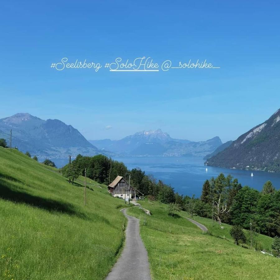 Schoene Ferienwohnung In Traumlage Fewo Solohike Seelisberg Exterior foto