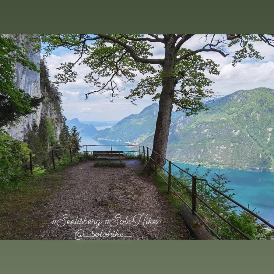 Schoene Ferienwohnung In Traumlage Fewo Solohike Seelisberg Exterior foto