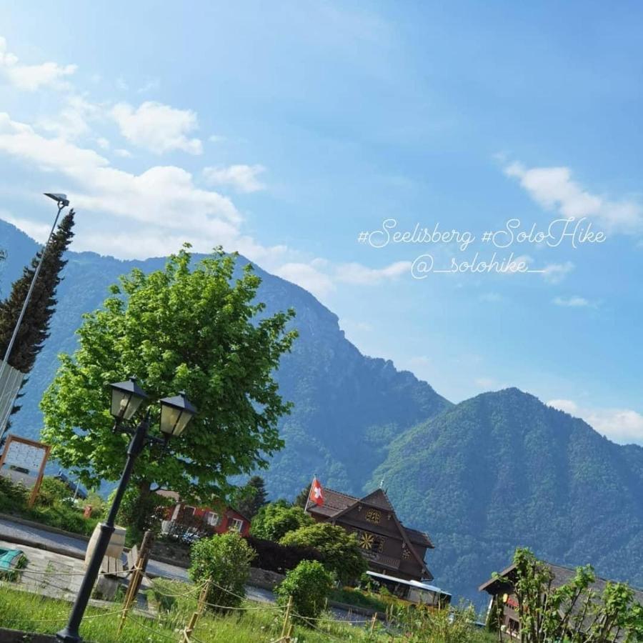 Schoene Ferienwohnung In Traumlage Fewo Solohike Seelisberg Exterior foto